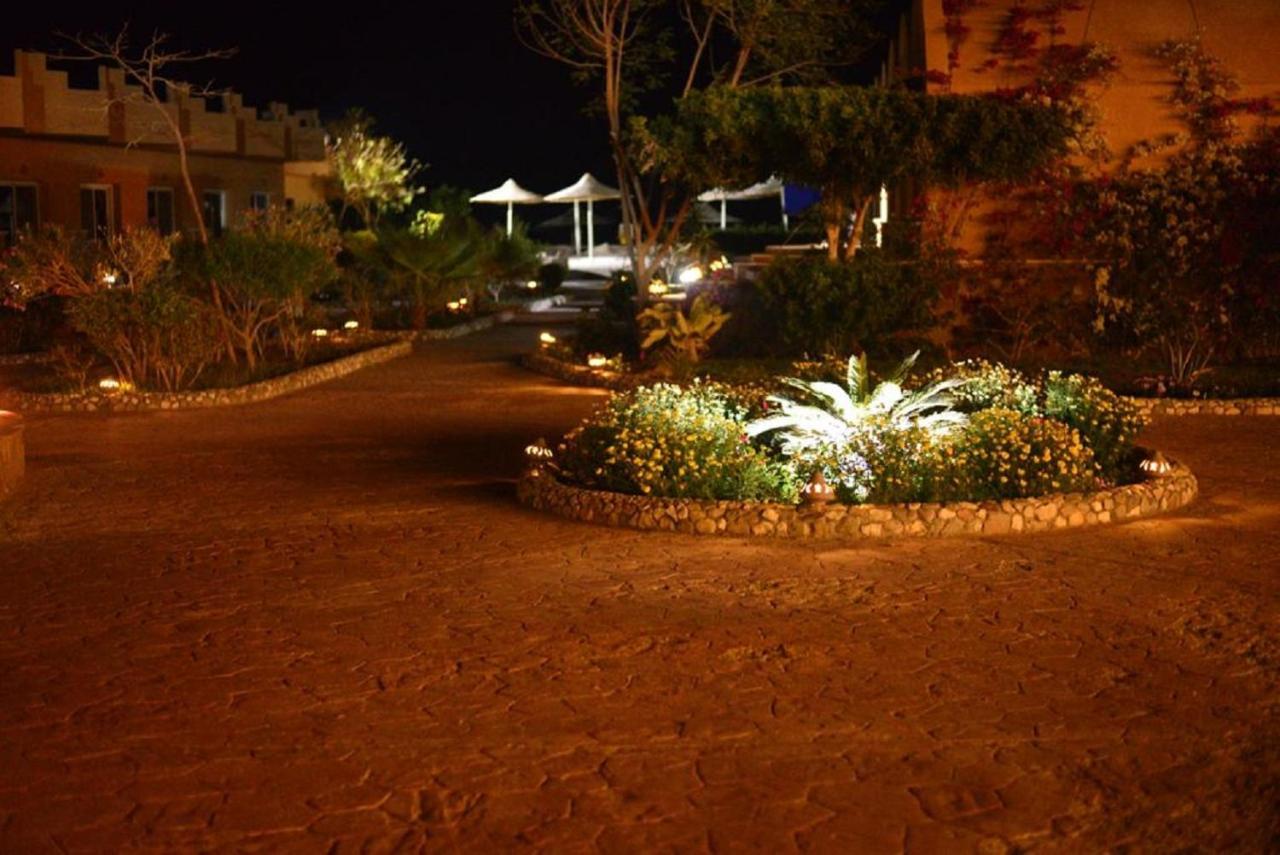 Silver Beach Boutique Hotel (Adults Only) 紅海 エクステリア 写真