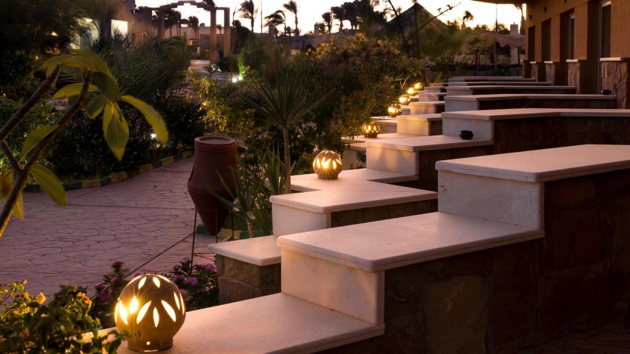 Silver Beach Boutique Hotel (Adults Only) 紅海 エクステリア 写真