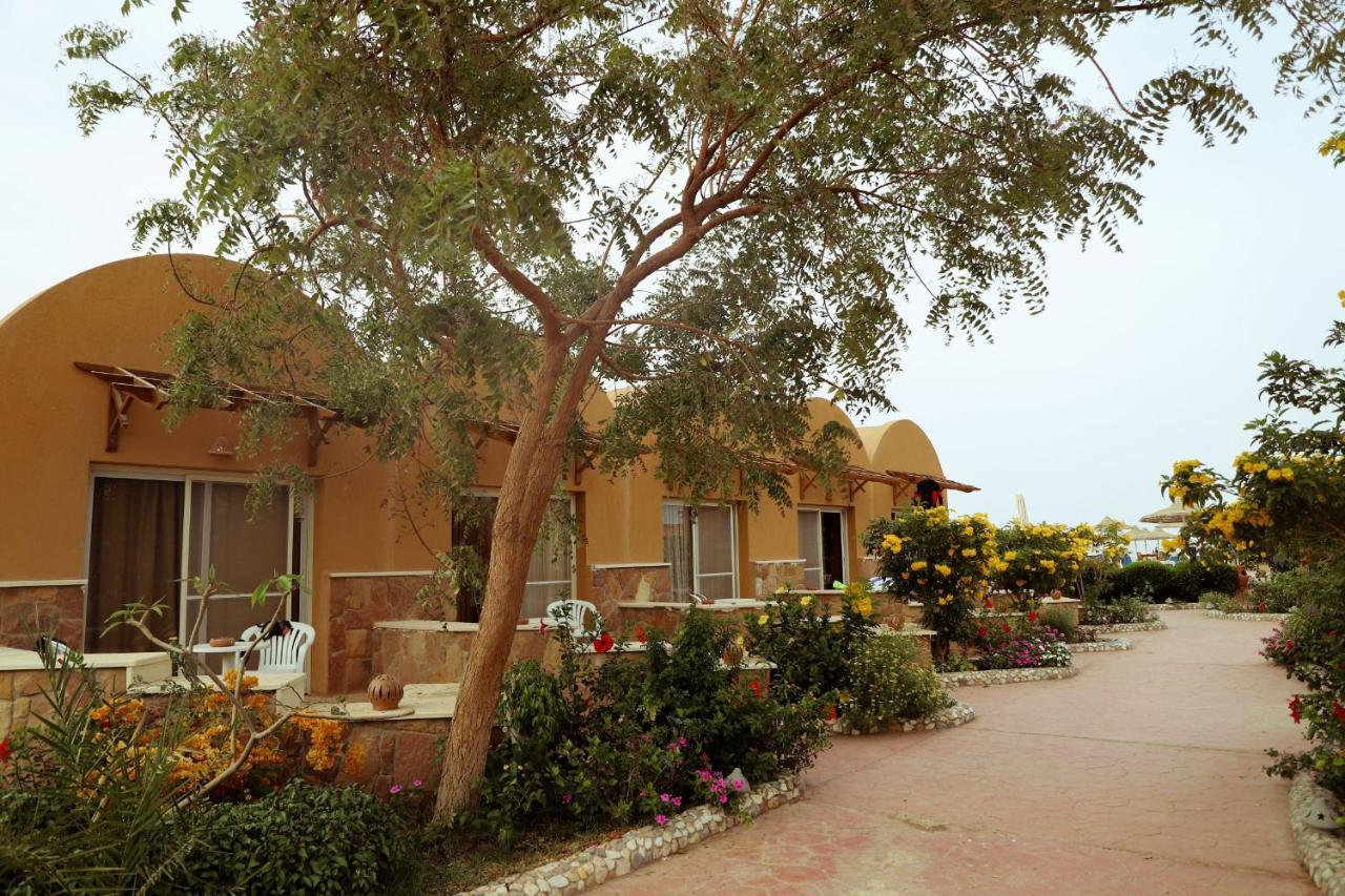 Silver Beach Boutique Hotel (Adults Only) 紅海 エクステリア 写真