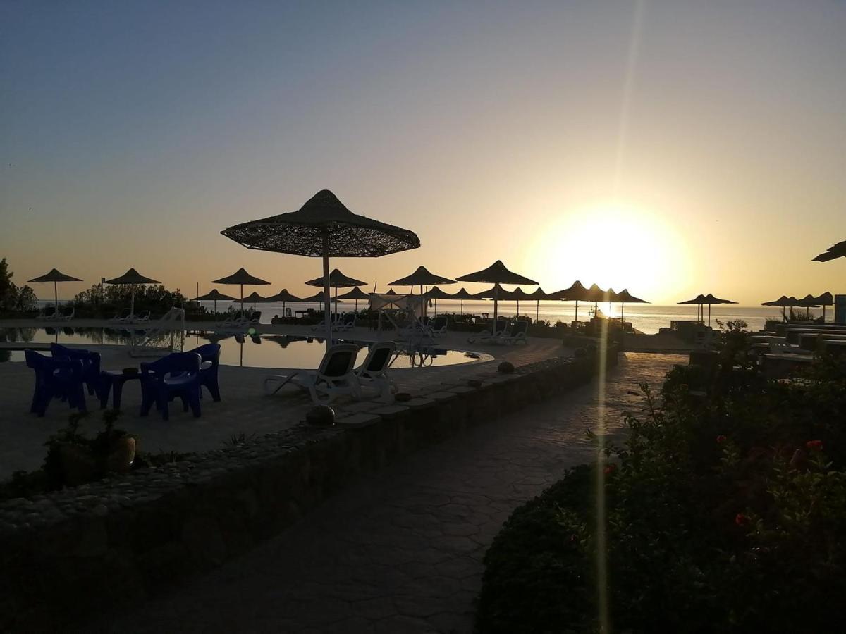 Silver Beach Boutique Hotel (Adults Only) 紅海 エクステリア 写真