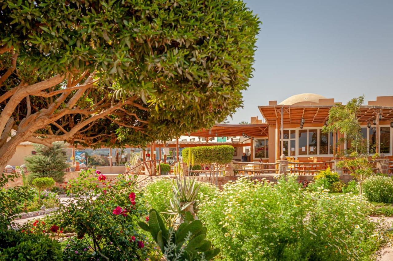 Silver Beach Boutique Hotel (Adults Only) 紅海 エクステリア 写真