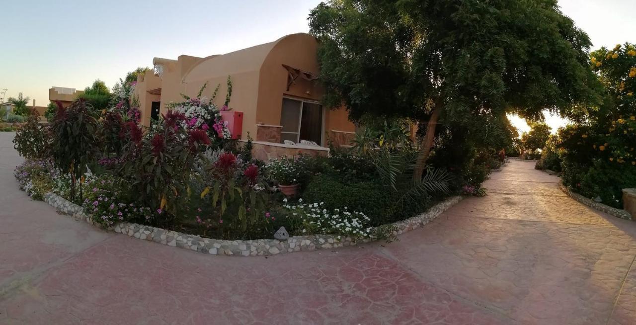 Silver Beach Boutique Hotel (Adults Only) 紅海 エクステリア 写真
